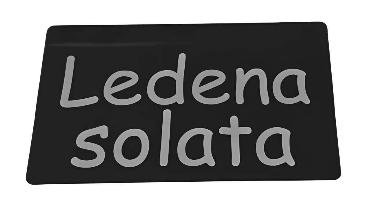 vrtna tablica Ledena solata za označevanje solate v zelenjavnem vrtu.