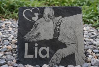 gravirana spominska plošča za psa na skrilavcu postavljena na kamenčke