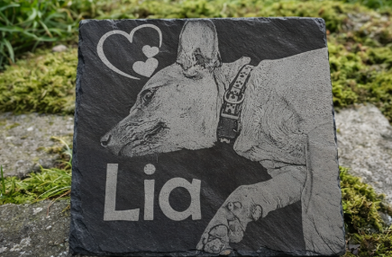 spominska plošča za hišnega ljubljenčka na skrilavcu v vrtnem okolju